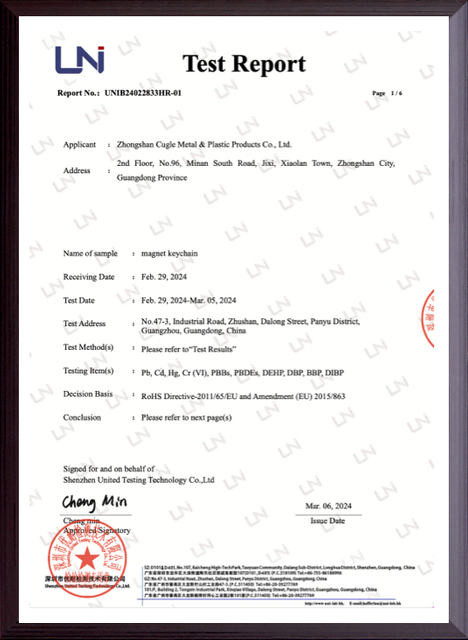 Test Report