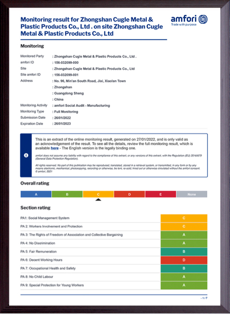 Report Summary